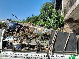 Best Basement Cleanout  in St Augustine Beach, FL
